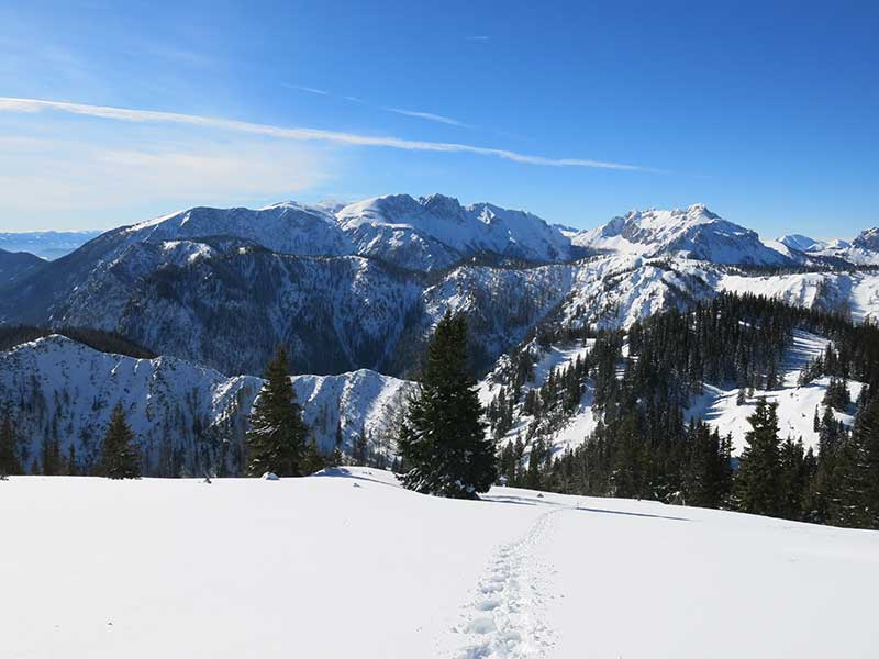 Buchbergkogel